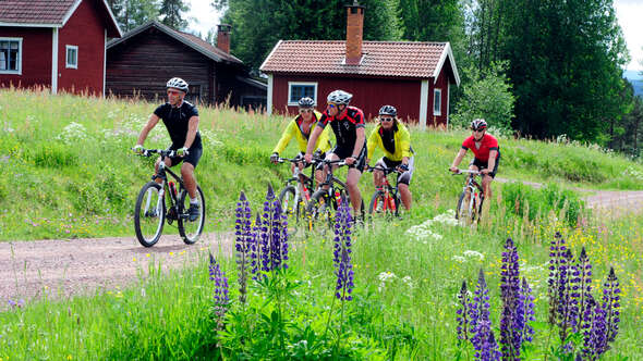 Tävlande i cykelvasan 2011 Tävlande i cykelvasan 2011