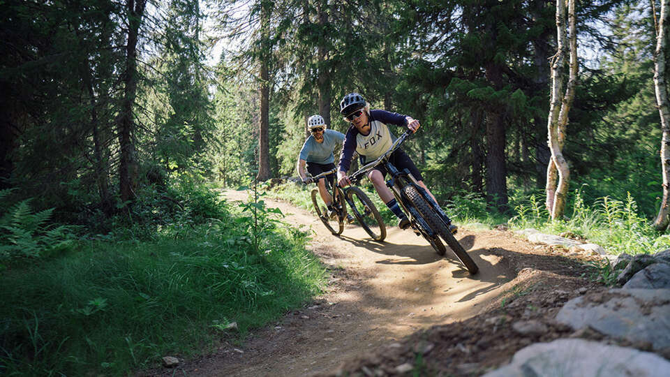 Cykling i skogen