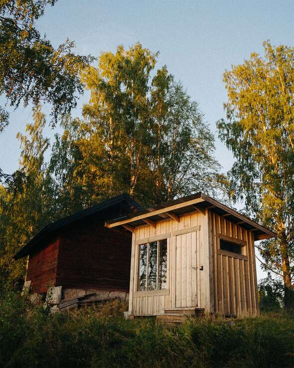 Vindskydd i skog