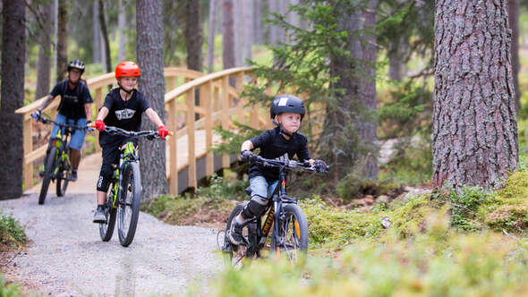 Familj cyklar genom Järvsöskogarna