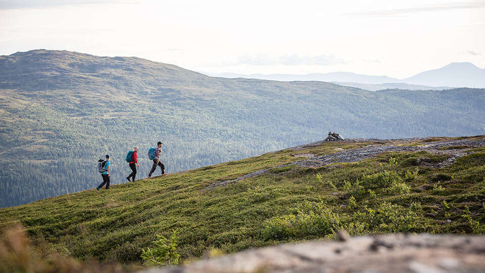 Fjällvandring