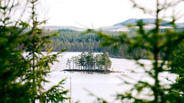 Sjö i Hälsingeskogen Sjö i Hälsingeskogen