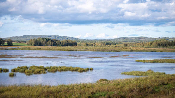 Limsjön Limsjön