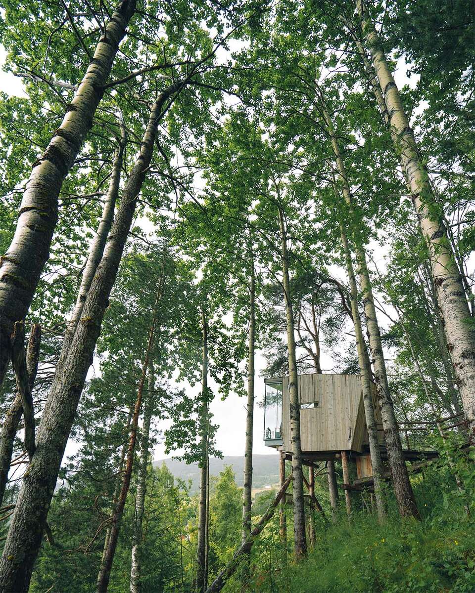 Engeset i Norge