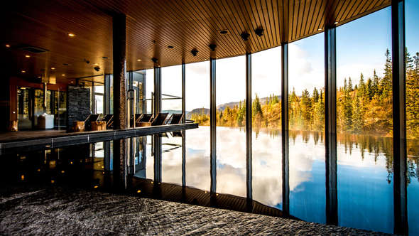 Pool med panoramafönster mot skog Pool med panoramafönster mot skog