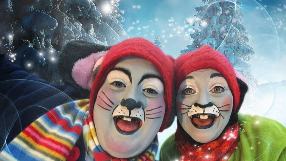 Vintermöss