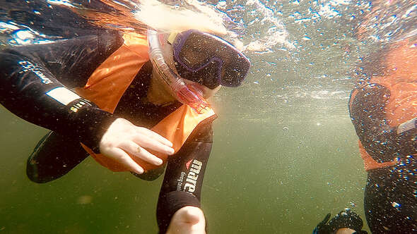 Snorkelsafari Snorkelsafari