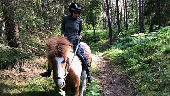 Ridtur i skogen Ridtur i skogen