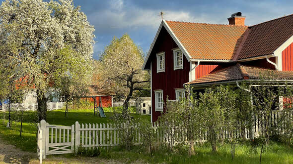 Musteriet i Djursdala By Musteriet i Djursdala By