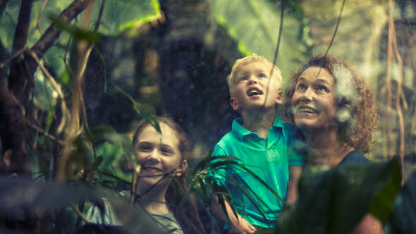 Familj på Universeum Familj på Universeum