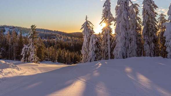 Skidbacke Romme Alpin