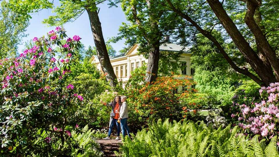 Kulturen i Lund