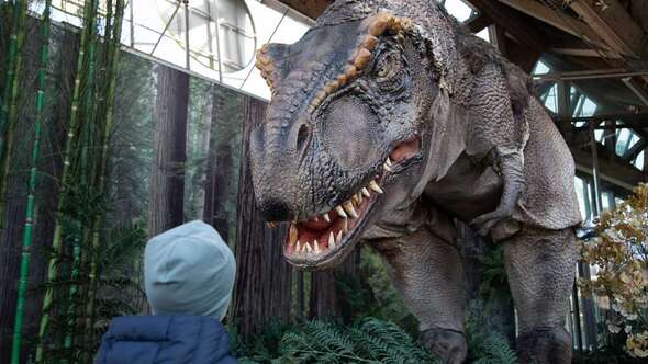 Universeum Universeum