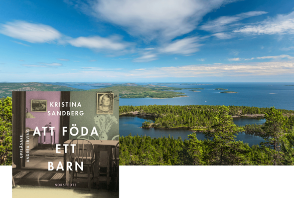 Att föda ett barn av Kristina Sandberg