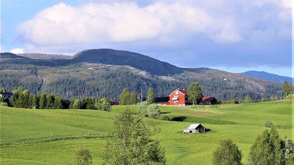 STF Millestgården Eco Lodge